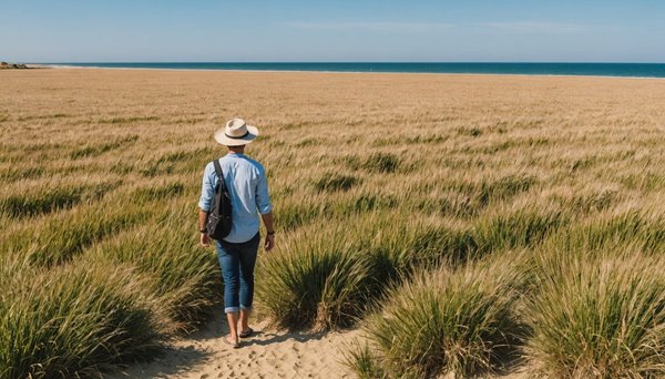 Les meilleures raisons de visiter la vendée cet été